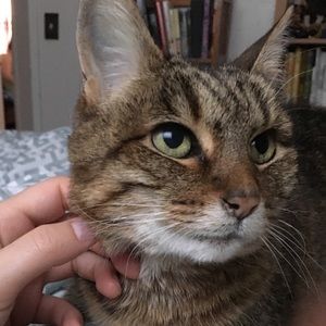 Meet your Posher, Hannah